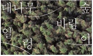 이응노의집 기획전시 《대나무 숲 바람이 일렁일 때》
